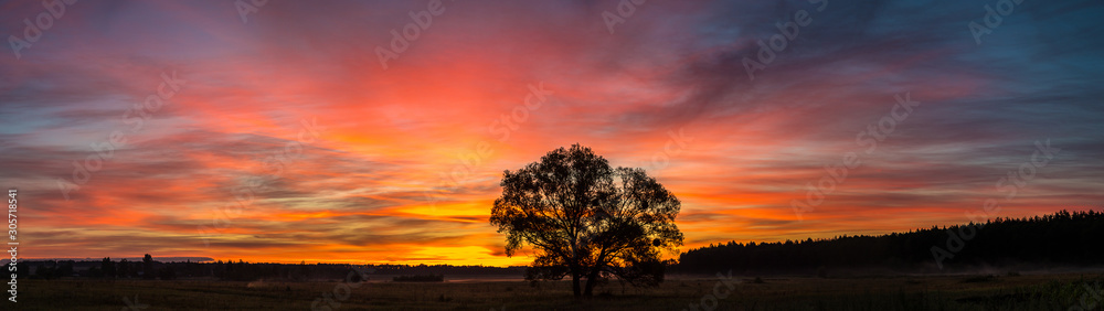 Fototapeta premium Sunrise over field and tree
