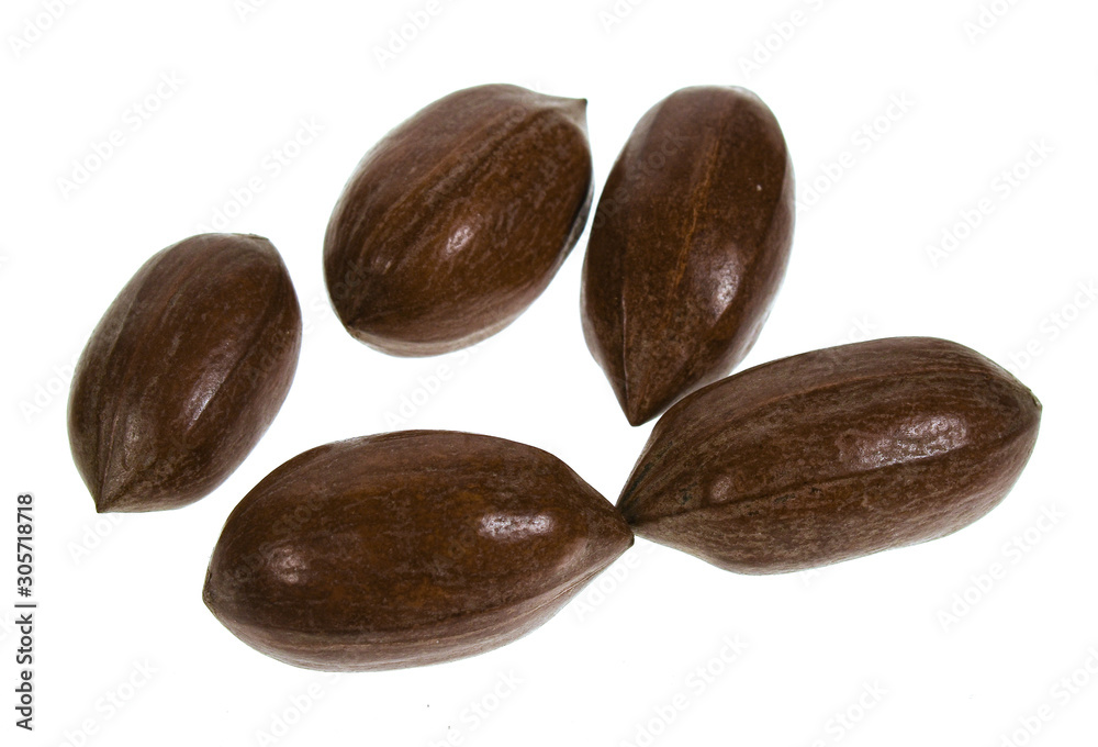 Obraz premium Pecans