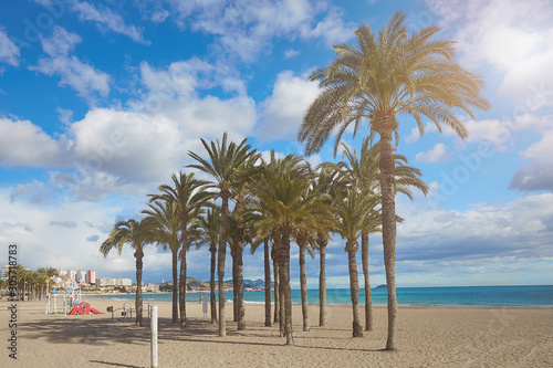 Palm trees on the beach against the background of the sea and blue sky with beautiful clouds in the sun. Villajoyosa  Spain