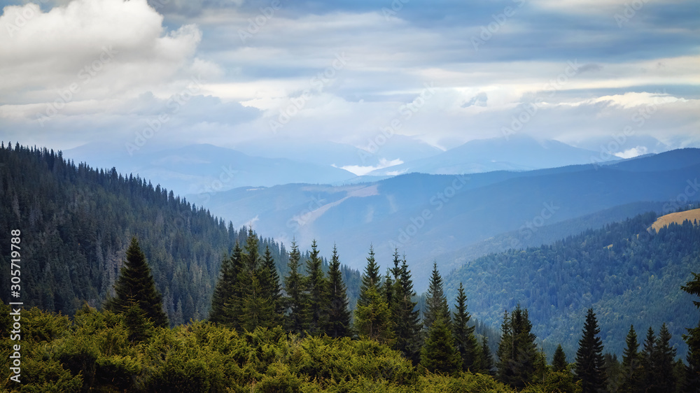 Spruce forrest in mountains panorama, day with beautiful clouds scene. Autumn background. Trekking and hiking summer travel nature landscape background.