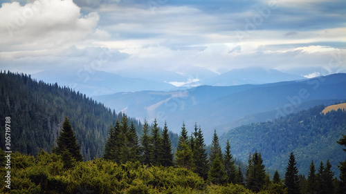 Spruce forrest in mountains panorama, day with beautiful clouds scene. Autumn background. Trekking and hiking summer travel nature landscape background. © GreenArt Photography