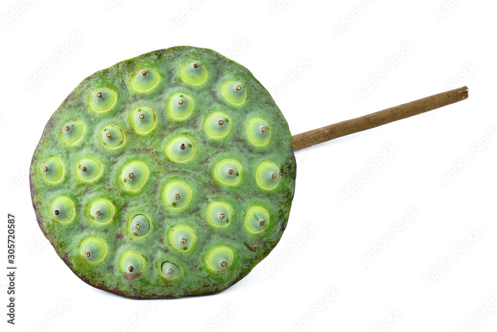 Pod of Royal lotus and seed pods with green leaf isolated on a white background Pod of Royal lotus and seed pods with green leaf isolated on a white background