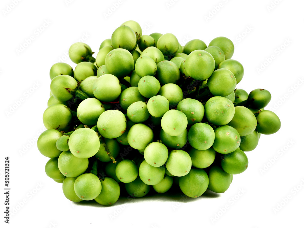 Solanum torvum,turkey berry,Pea Eggplant isolated on a white background,element of thai food concept Solanum torvum,turkey berry,Pea Eggplant isolated on a white background,element of thai food concept