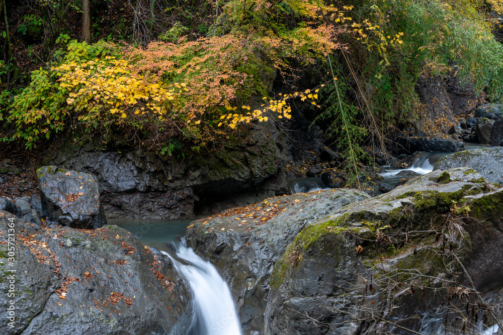 Obraz premium 大柳川渓谷 紅葉