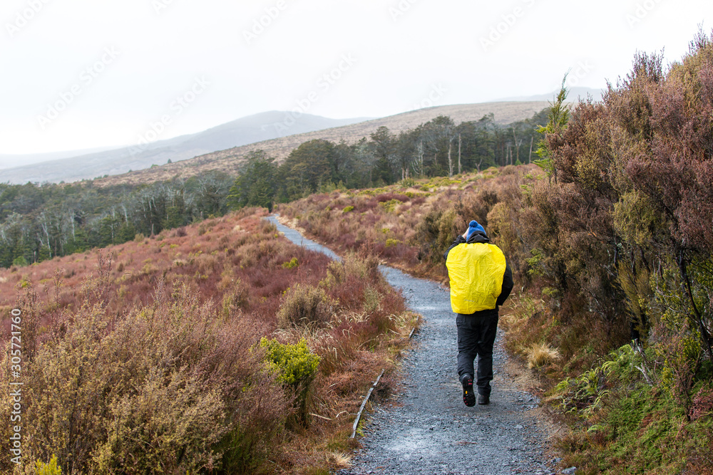 Man walking on a path in National park in New Zealand 