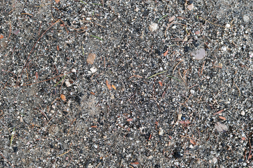 texture of a natural ground with pebbles and sand - park background texture of a natural ground with pebbles and sand - park background