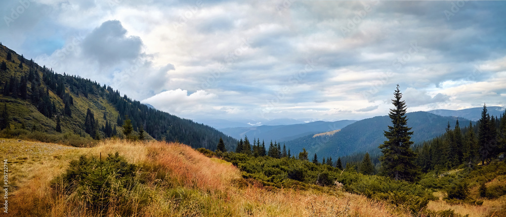 Mountains panorama, day with beautiful clouds and fir trees scene. Autumn background. Trekking and hiking summer travel nature landscape background.