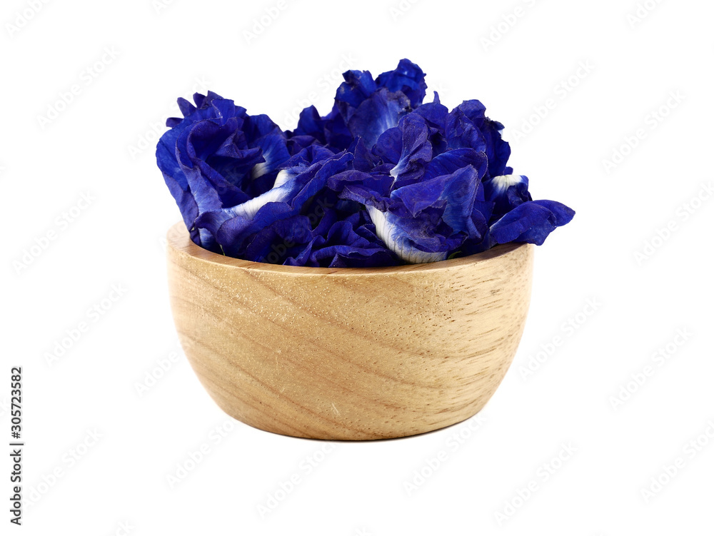 Obraz premium Close up of Fresh purple Butterfly pea flower or Anchan flower (Clitoria ternatea) isolated on white background. concept Healthy herbal beverage or Food nature