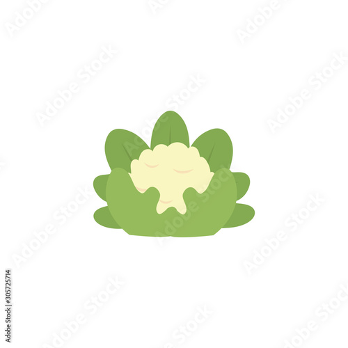 vegetable cauliflower flat style icon