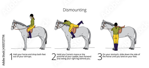 Horse info graphic poster design. Vector illustration.