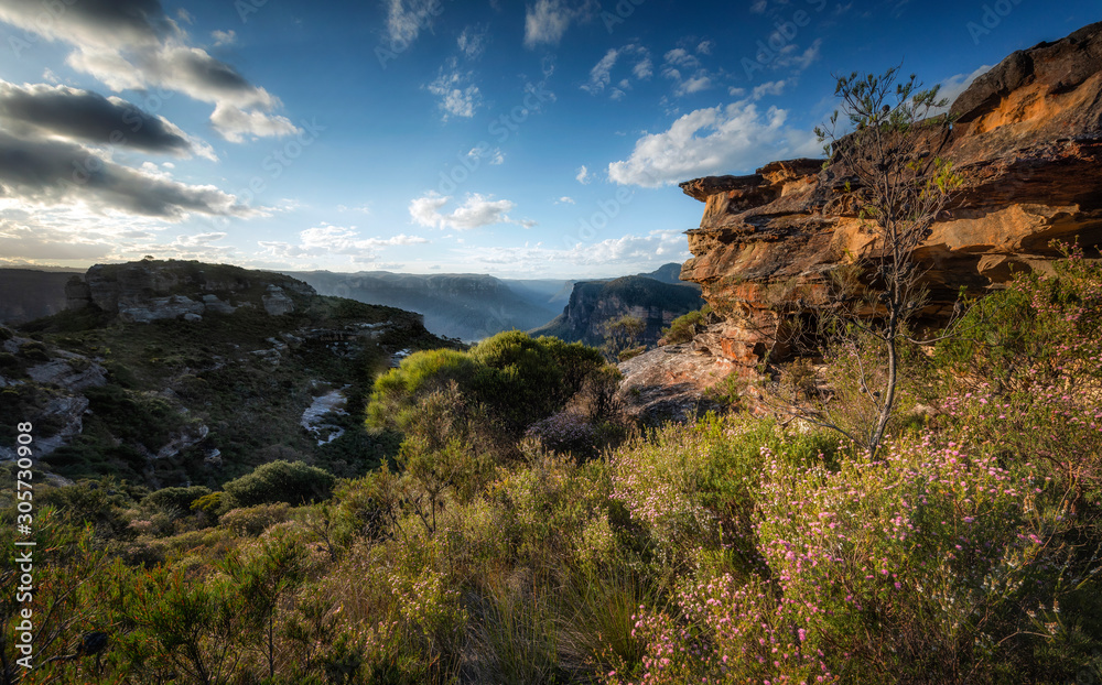 Fototapeta premium View of Blue mountains National park in NSW, Australia.