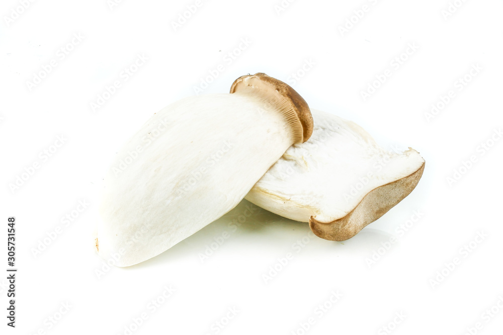 Fototapeta premium King oyster mushroom, (origin) Pleurotus eryngii mushroom isolated on white background