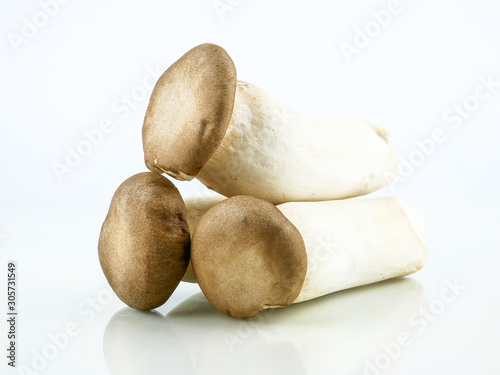 King oyster mushroom, (origin) Pleurotus eryngii mushroom isolated on white background