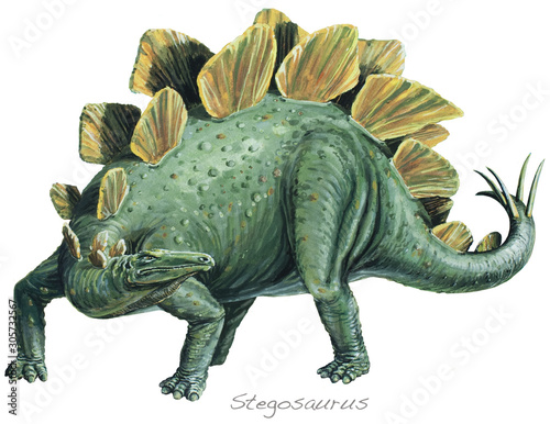 STEGOSAURUS. A vegetarian, armour-plated dinosaur. About 20ft (6m) long. The thick, spiked tail was used for defence. Late Jurassic, about 140 million years ago. *No. 2 in a series of eight.* © Lewisroland