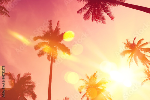 Fototapeta Naklejka Na Ścianę i Meble -  Tropical palm tree with colorful bokeh sun light on sunset sky cloud abstract background.