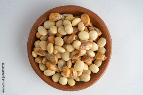 Lupinus mutabilis, also called in Ecuador as 