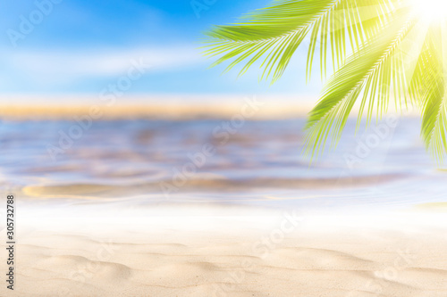 Blur beautiful nature green palm leaf on tropical beach with bokeh sun light wave abstract background.