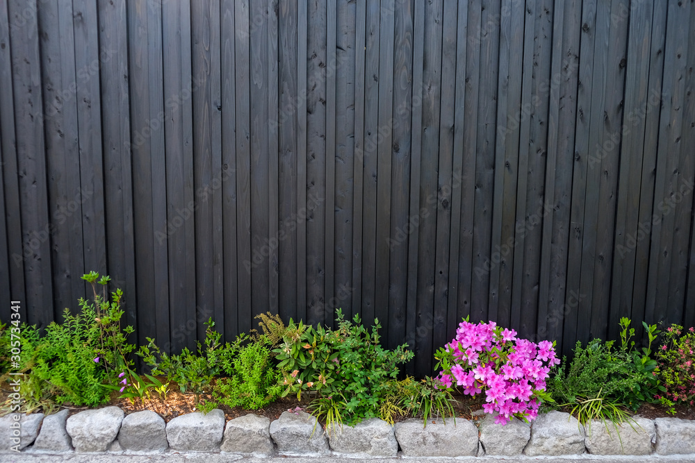 Fototapeta premium Background with green leaves of tree and pink flower on ground over wooden wall