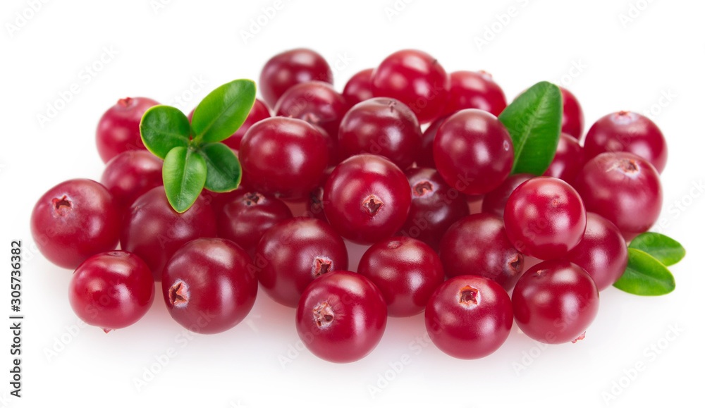Fresh cranberry isolated on white background Fresh cranberry isolated on white background