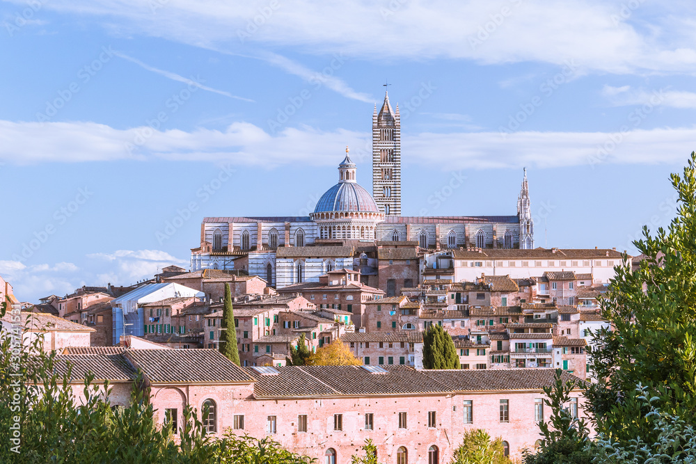 City scape of Siena, the medieval town on the hill with trees under the blue sky in Tuscany, Italy.  Cathedral building with the tower in the center.