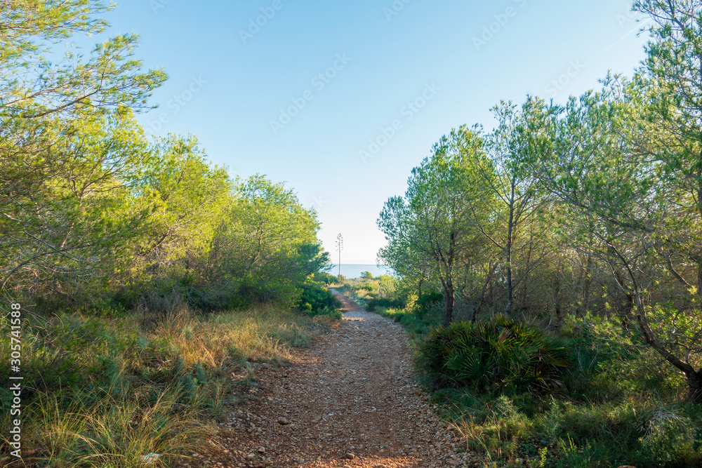 Trail through the mountains of Irta de Alcocebre Trail through the mountains of Irta de Alcocebre