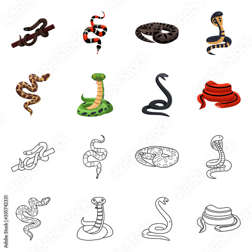 Isolated object of snake and creepy logo. Collection of snake and wildlife stock vector illustration.