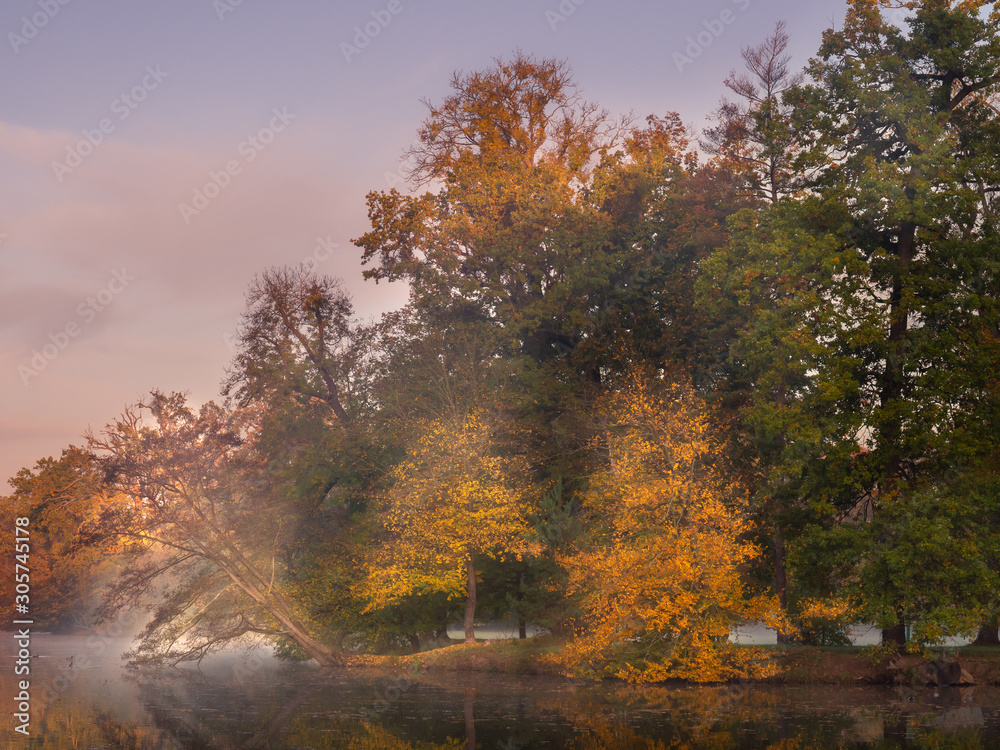 Beautiful Autumn trees by a lake