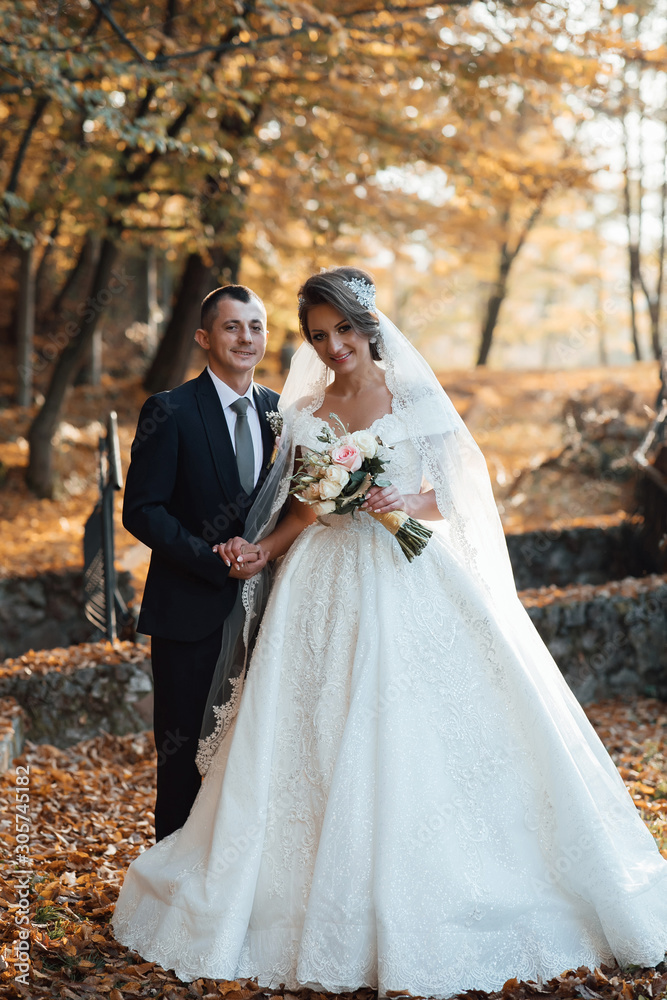 Wedding bride and groom loving couple atautumn bridal day Enjoy moment of happiness and having fun. Autumn wedding in the park, bride and groom. Wedding bride and groom loving couple atautumn bridal day Enjoy moment of happiness and having fun. Autumn wedding in the park, bride and groom.