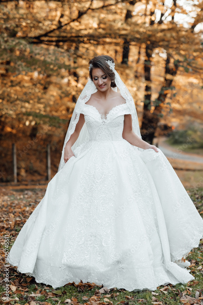 Beautiful sensual young bride in long white wedding dress and veil the bride outdoor. Charming autumn bride.  Beautiful young woman with makeup and hairstyle 