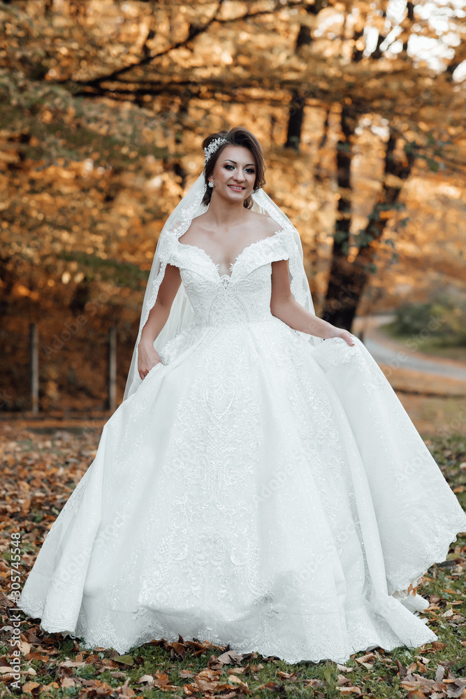 Beautiful sensual young bride in long white wedding dress and veil the bride outdoor. Charming autumn bride.  Beautiful young woman with makeup and hairstyle 