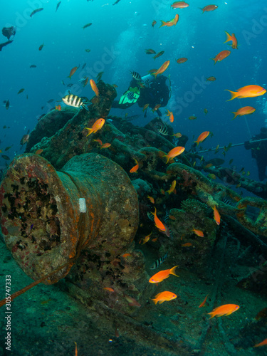 Thistlegorm ship sunk in World War II in the Red Sea