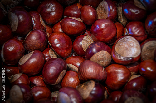 set view of freshly harvested chestnuts