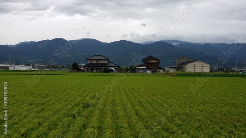 rural area near yoshinogari koen station, japan in summer