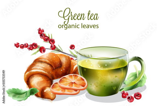 Organic green tea made from leaves. Cranberry, croissant, mint leaves and ora...