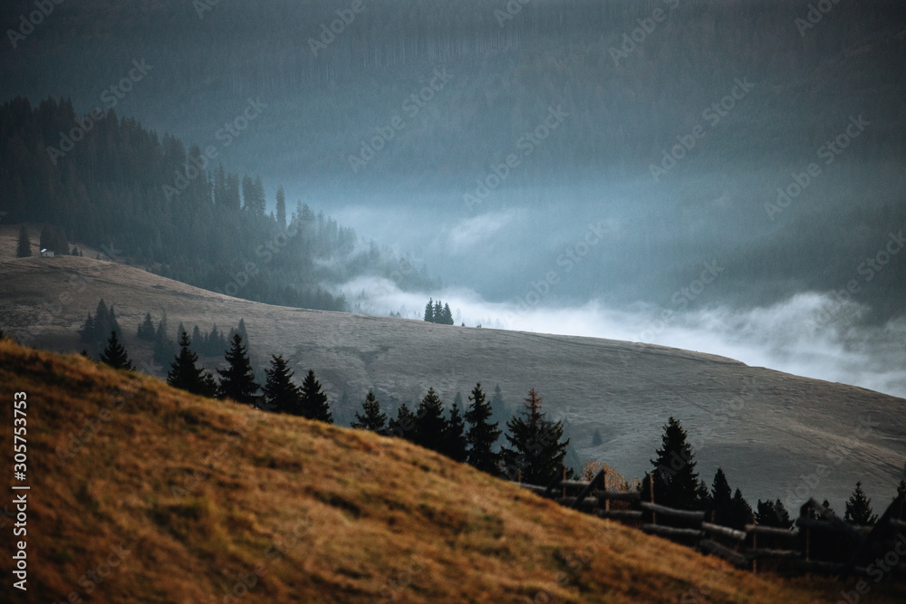 Autumn foliage and fog. Misty mountains with evergreen trees.Creative,vintage concept