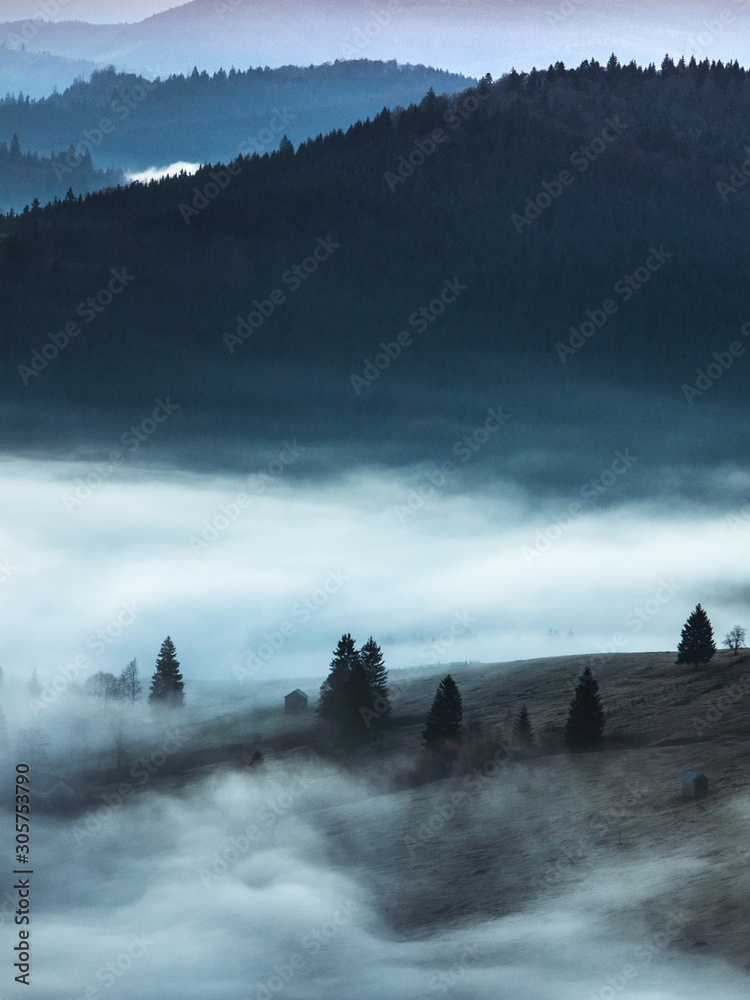 Landscape misty panorama.Foggy clouds above forest trees. 