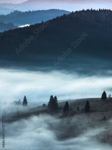Landscape misty panorama.Foggy clouds above forest trees. 