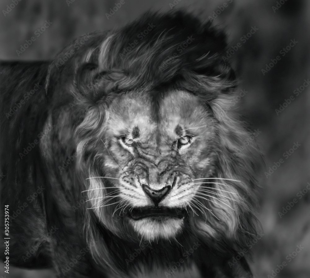 León León