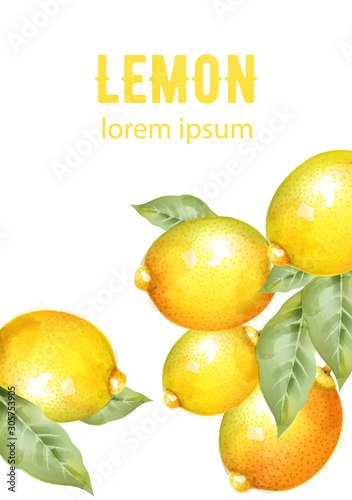 Watercolor yellow lemons with green leaves. Isolated. Vector