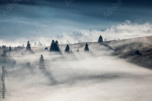 Landscape misty panorama.Foggy clouds above forest trees. View below to fairy nature. Bucovina,Romania