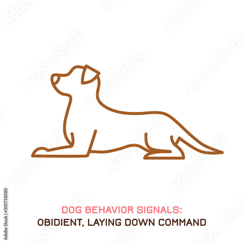 Dog behavior icon