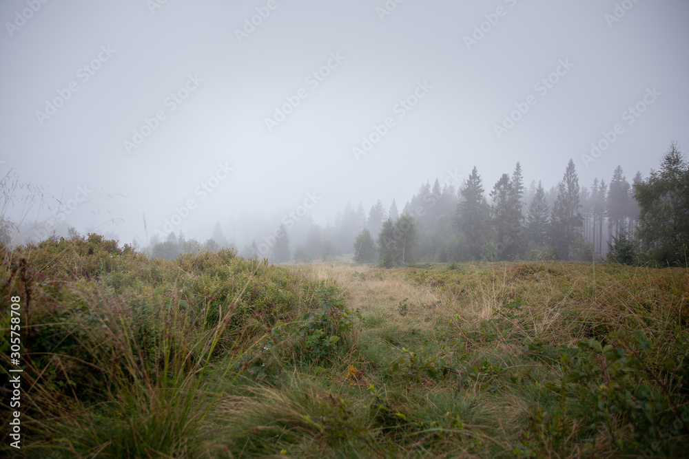 Misty autumn in the mountains Misty autumn in the mountains