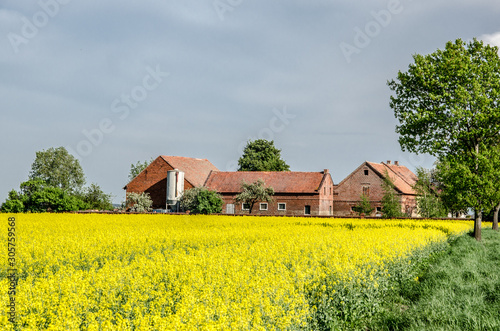 old farm house in a field