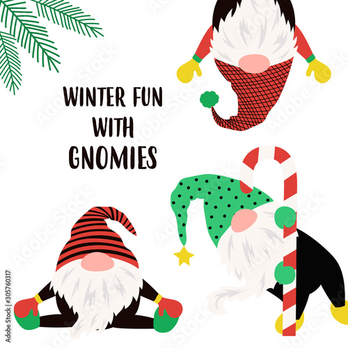 christmas winter card with funny gnomes