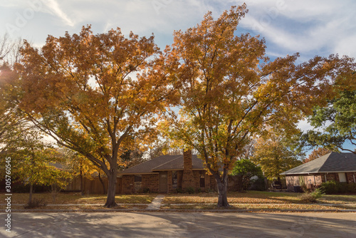 Single story bungalow houses in suburbs of Dallas with bright fall foliage colors