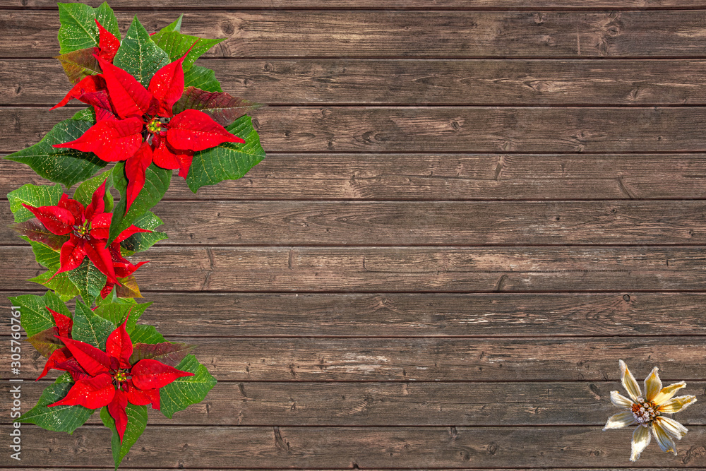 old wood planks with christmas flower decoration old wood planks with christmas flower decoration