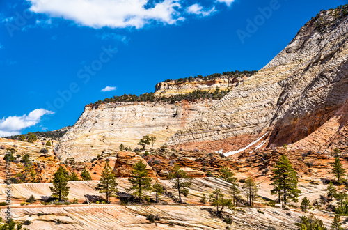 Landscape of Zion National Park along Pine Creek