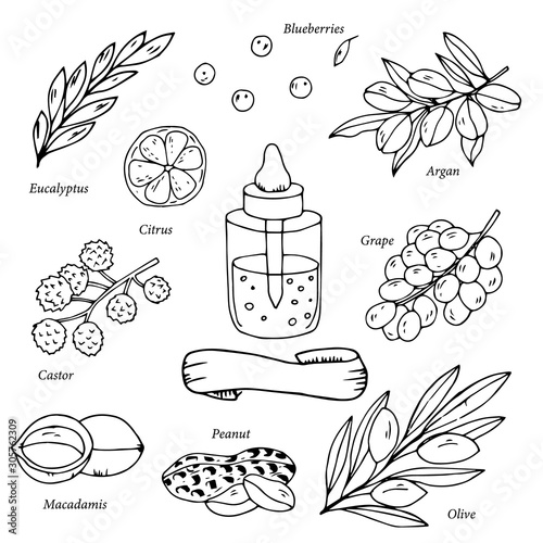Outline natural products collection. Hand drawn vector organic oil set. Natural ingredients for health care, eco oil products.