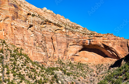 Landscape of Zion National Park along Pine Creek