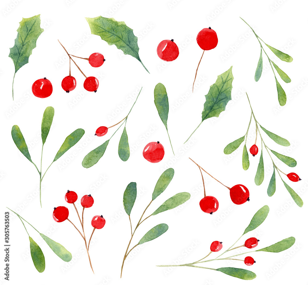 Tree twigs and berries hand drawn illustrations set